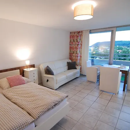 Reichenbachstrasse Appartement